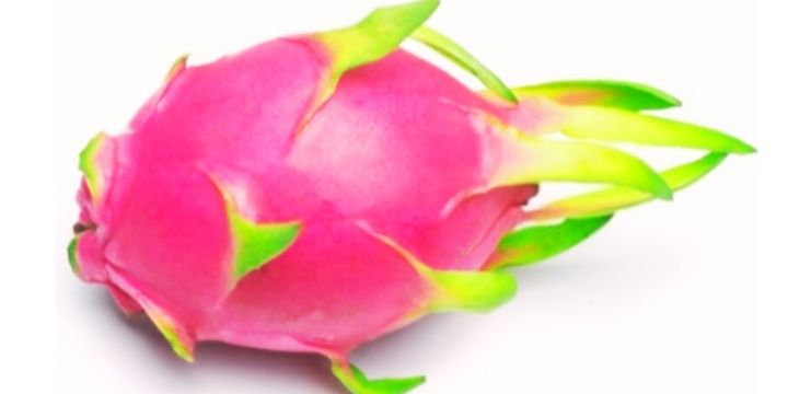 Can Dogs Eat Dragon Fruit